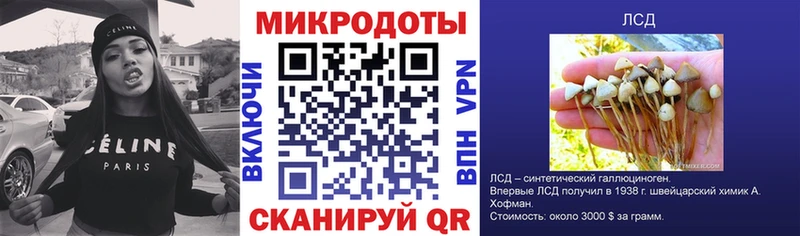 Купить где  Яранск  Галлюциногенные грибы Psilocybine cubensis 